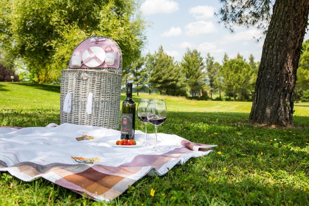 Agriturismo Colleverde Selvatelle Dış mekan fotoğraf