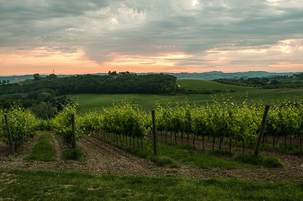 Agriturismo Colleverde Selvatelle Dış mekan fotoğraf