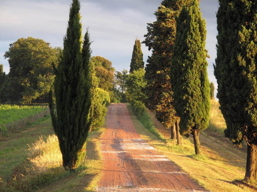 Agriturismo Colleverde Selvatelle Dış mekan fotoğraf