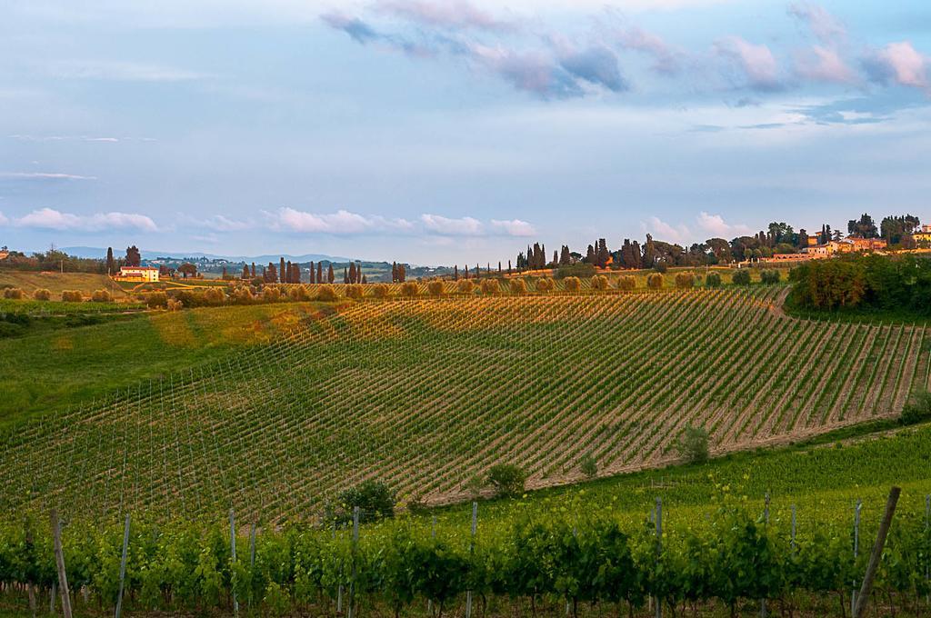Agriturismo Colleverde Selvatelle Dış mekan fotoğraf