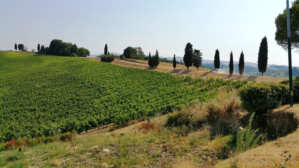 Agriturismo Colleverde Selvatelle Dış mekan fotoğraf