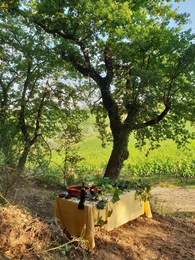 Agriturismo Colleverde Selvatelle Dış mekan fotoğraf