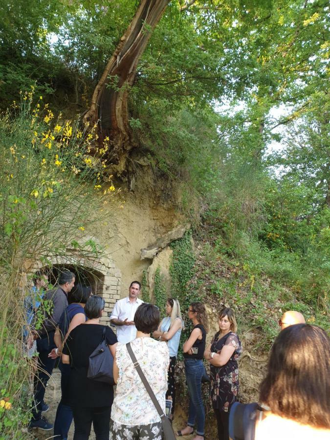 Agriturismo Colleverde Selvatelle Dış mekan fotoğraf