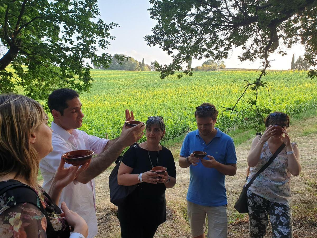 Agriturismo Colleverde Selvatelle Dış mekan fotoğraf